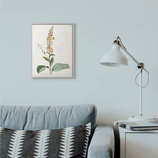 Stupell Industries Botanical Flower Gray Framed Wall Art
